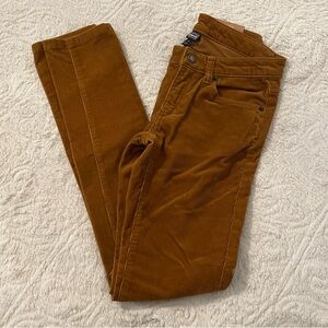 Patagonia Fitted Corduroy Woman’s Skinny Pants Size 24/00/XXS
